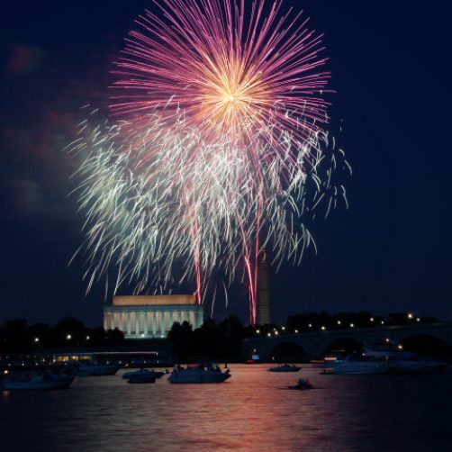 Pink Fireworks - Garden State Fireworks
